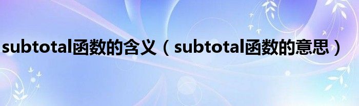 subtotal函数的含义(subtotal函数的意思)