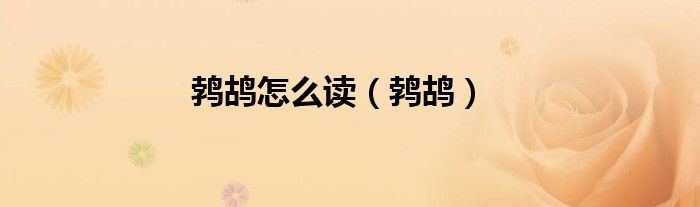 鹁鸪怎么读（鹁鸪）