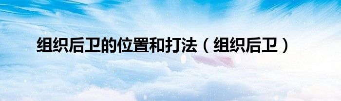 组织后卫的位置和打法(组织后卫)