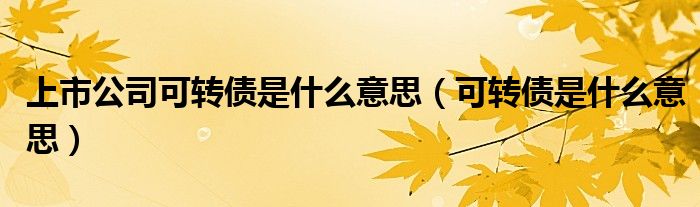 上市公司可转债是什么意思(可转债是什么意思)