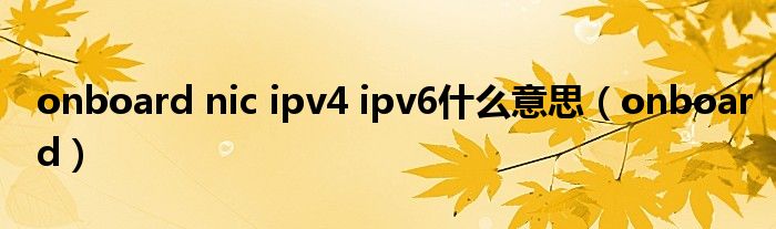 onboard nic ipv4 ipv6什么意思(onboard)