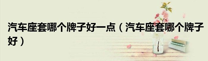 汽车座套哪个牌子好一点(汽车座套哪个牌子好)
