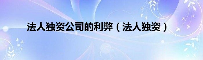 法人独资公司的利弊(法人独资)