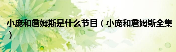 小庞和詹姆斯是什么节目(小庞和詹姆斯全集)