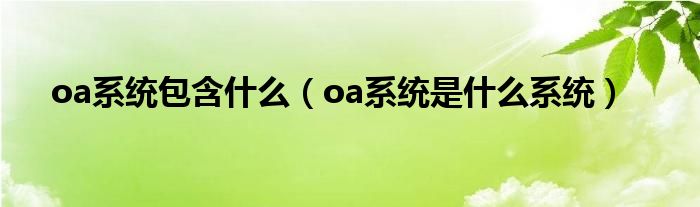 oa系统包含什么(oa系统是什么系统)