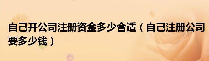 自己开公司注册资金多少合适(自己注册公司要多少钱)