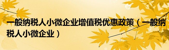 一般纳税人小微企业增值税优惠政策(一般纳税人小微企业)