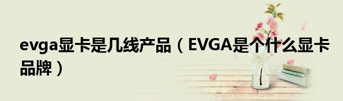 evga显卡是几线产品(EVGA是个什么显卡品牌)