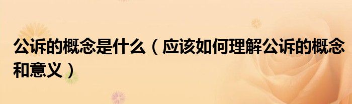 公诉的概念是什么(应该如何理解公诉的概念和意义)
