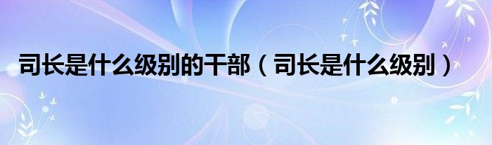 司长是什么级别的干部(司长是什么级别)