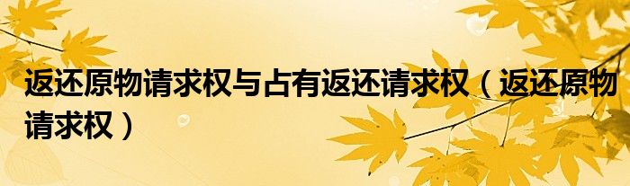 返还原物请求权与占有返还请求权(返还原物请求权)