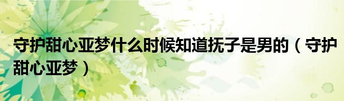 守护甜心亚梦什么时候知道抚子是男的(守护甜心亚梦)