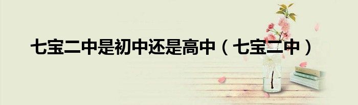 七宝二中是初中还是高中(七宝二中)