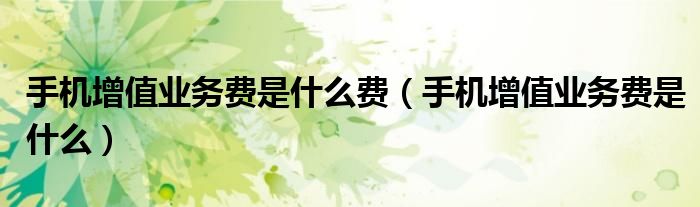 手机增值业务费是什么费(手机增值业务费是什么)