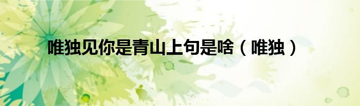 唯独见你是青山上句是啥(唯独)