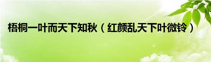 梧桐一叶而天下知秋(红颜乱天下叶微铃)