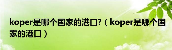 koper是哪个国家的港口?(koper是哪个国家的港口)