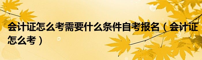 会计证怎么考需要什么条件自考报名(会计证怎么考)
