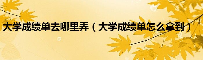 大学成绩单去哪里弄(大学成绩单怎么拿到)