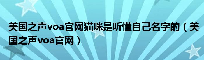 美国之声voa官网猫咪是听懂自己名字的(美国之声voa官网)