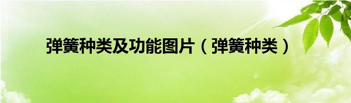 弹簧种类及功能图片(弹簧种类)