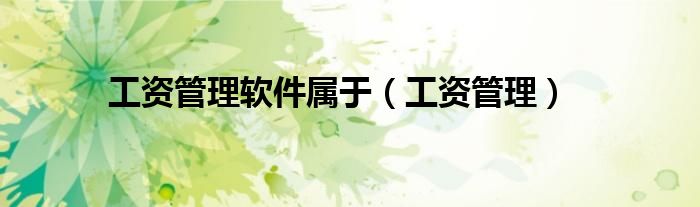 工资管理软件属于(工资管理)
