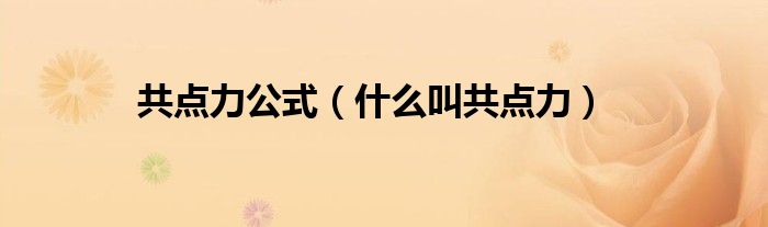 共点力公式(什么叫共点力)