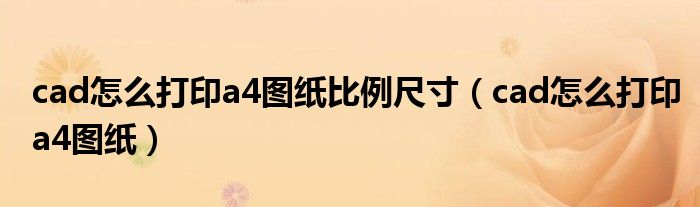 cad怎么打印a4图纸比例尺寸(cad怎么打印a4图纸)