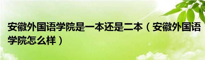 安徽外国语学院是一本还是二本(安徽外国语学院怎么样)