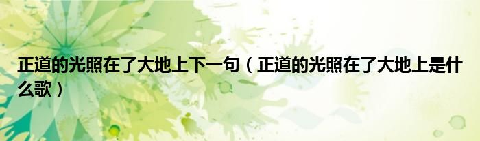 正道的光照在了大地上下一句(正道的光照在了大地上是什么歌)