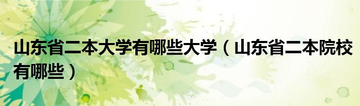 山东省二本大学有哪些大学(山东省二本院校有哪些)