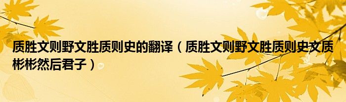 质胜文则野文胜质则史的翻译(质胜文则野文胜质则史文质彬彬然后君子)