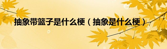 抽象带篮子是什么梗(抽象是什么梗)