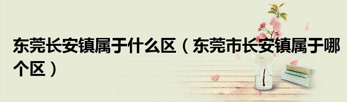 东莞长安镇属于什么区(东莞市长安镇属于哪个区)
