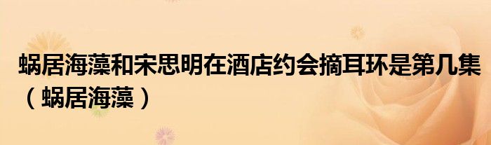 蜗居海藻和宋思明在酒店约会摘耳环是第几集(蜗居海藻)