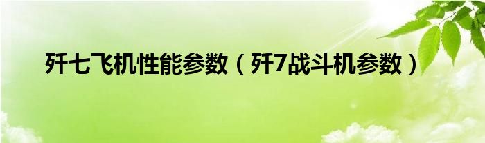 歼七飞机性能参数(歼7战斗机参数)
