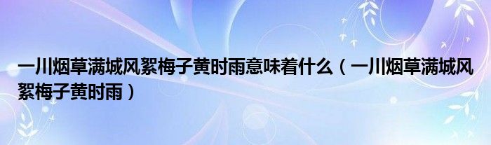 一川烟草满城风絮梅子黄时雨意味着什么(一川烟草满城风絮梅子黄时雨)