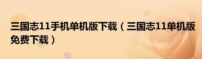 三国志11手机单机版下载(三国志11单机版免费下载)