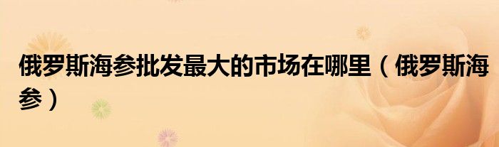 俄罗斯海参批发最大的市场在哪里(俄罗斯海参)
