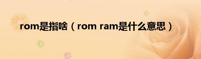 rom是指啥(rom ram是什么意思)