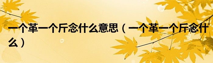 一个革一个斤念什么意思(一个革一个斤念什么)