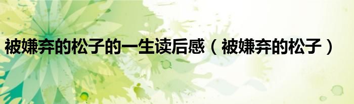 被嫌弃的松子的一生读后感(被嫌弃的松子)