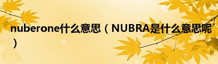 nuberone什么意思(NUBRA是什么意思呢)
