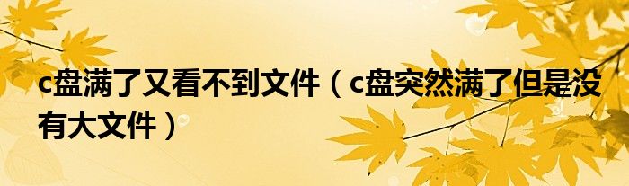 c盘满了又看不到文件(c盘突然满了但是没有大文件)