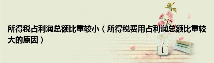 所得税占利润总额比重较小(所得税费用占利润总额比重较大的原因)