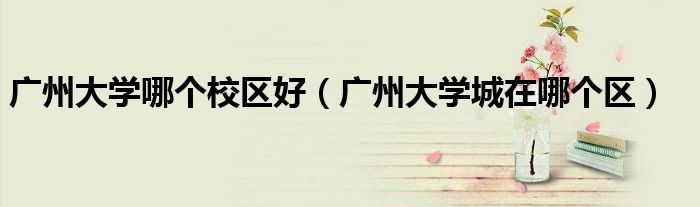 广州大学哪个校区好(广州大学城在哪个区)