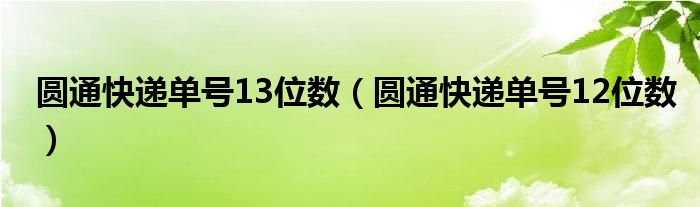 圆通快递单号13位数(圆通快递单号12位数)