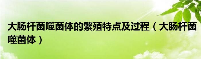 大肠杆菌噬菌体的繁殖特点及过程(大肠杆菌噬菌体)