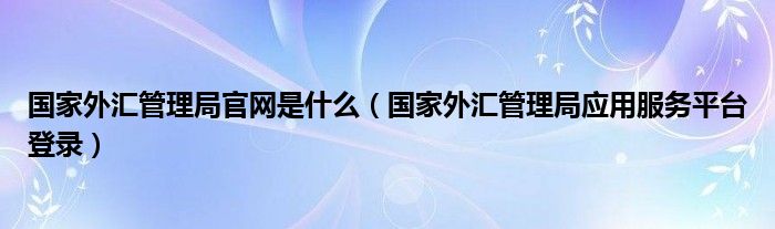 国家外汇管理局官网是什么(国家外汇管理局应用服务平台登录)