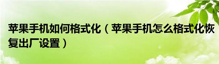 苹果手机如何格式化(苹果手机怎么格式化恢复出厂设置)